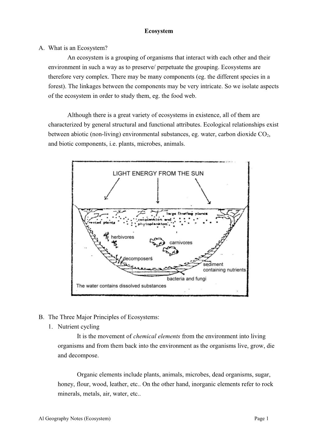 A.What Is an Ecosystem?