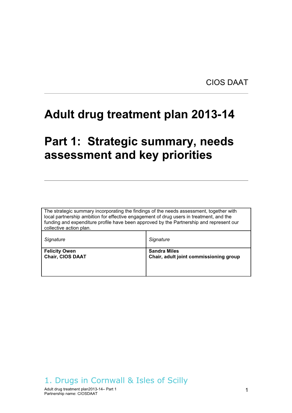 Adult Drug Treatment Plan 2013-14