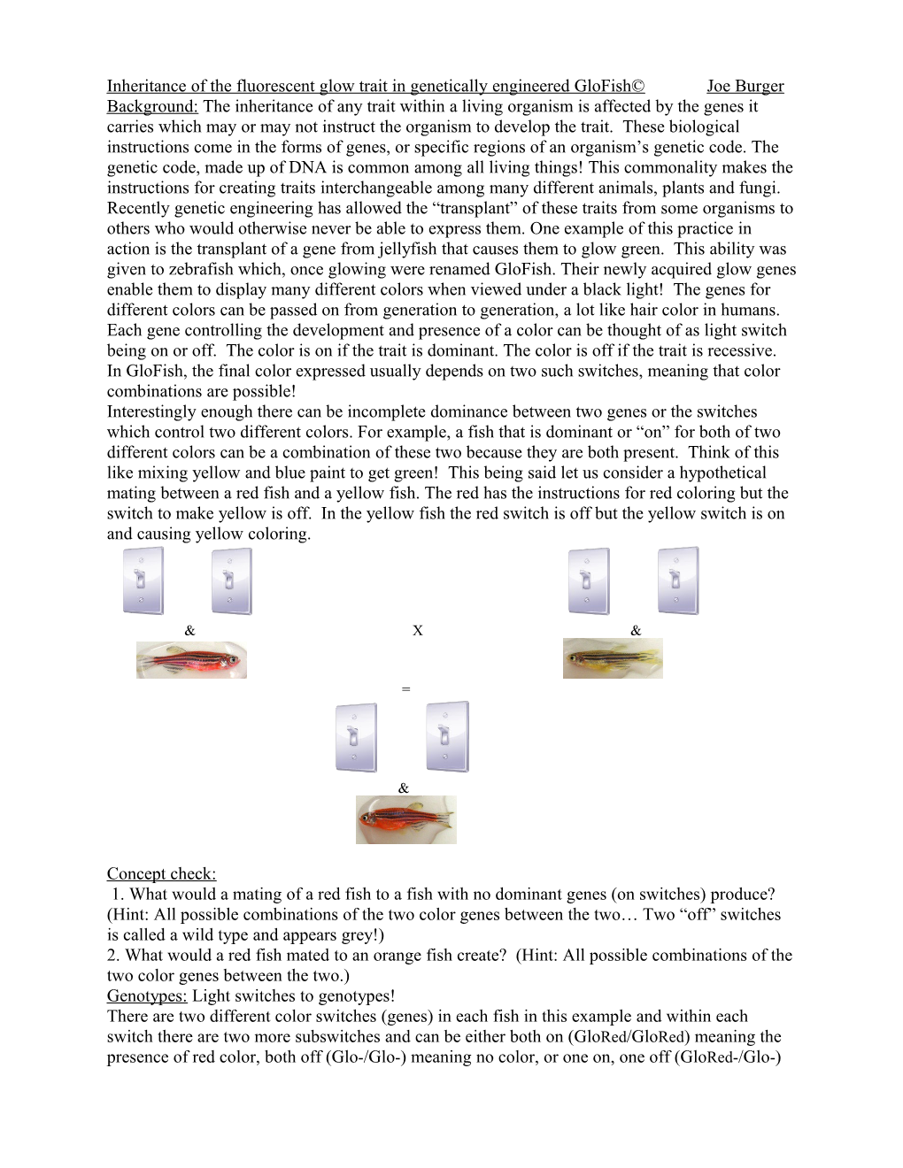 Inheritance of the Fluorescent Glow Trait in Genetically Engineered Glofish Joe Burger