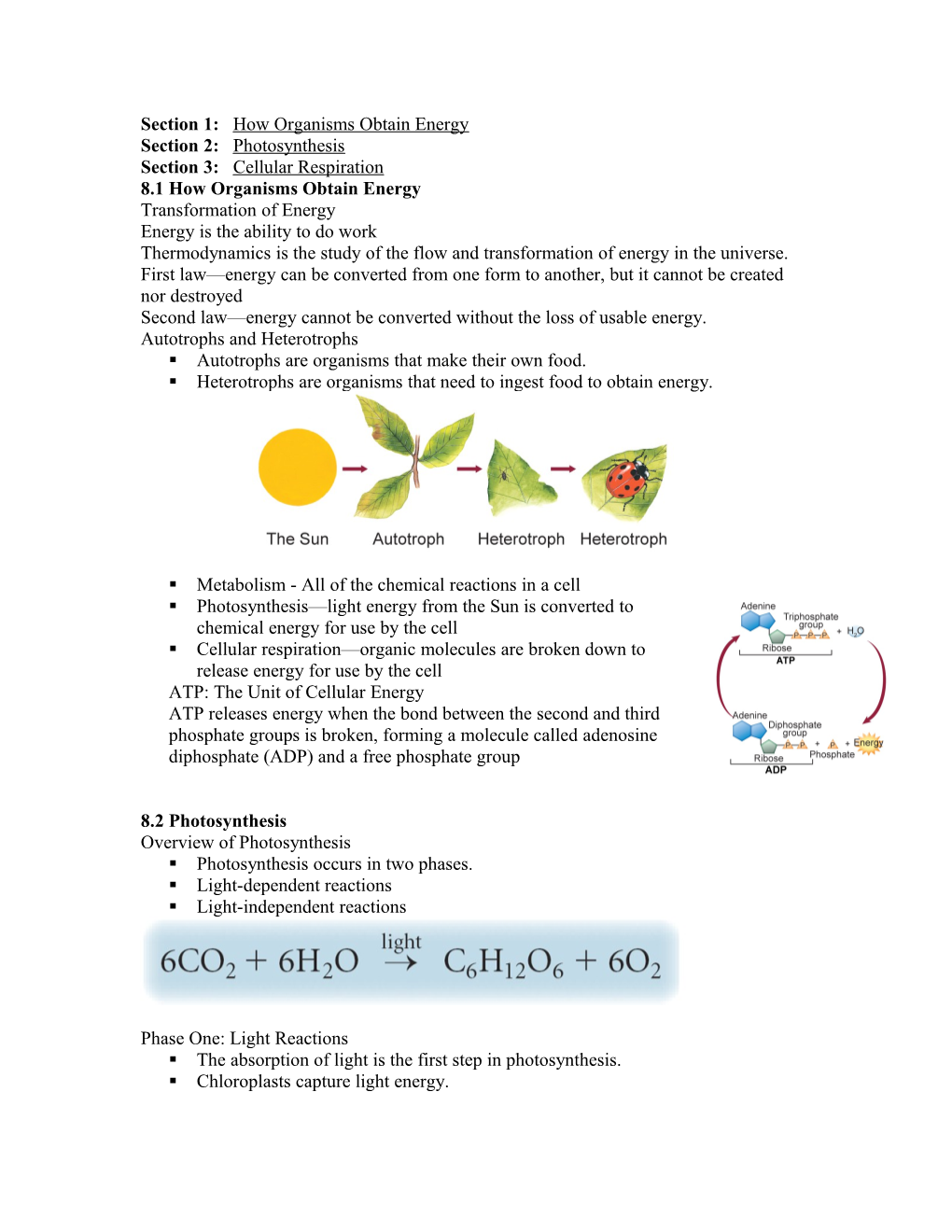 Section 1: How Organisms Obtain Energy