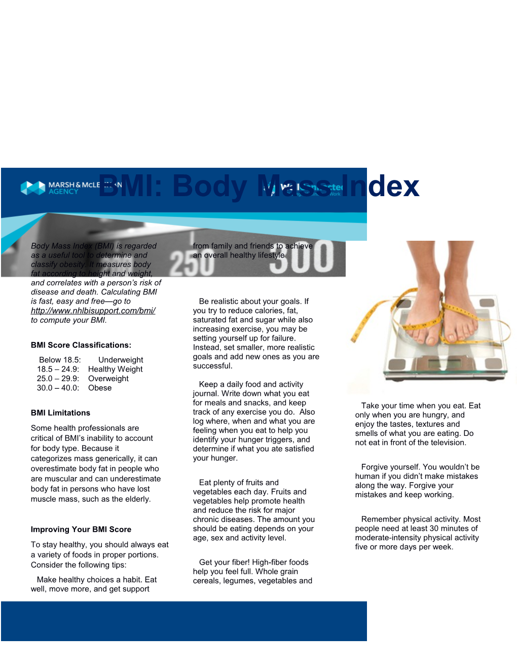 BMI Score Classifications