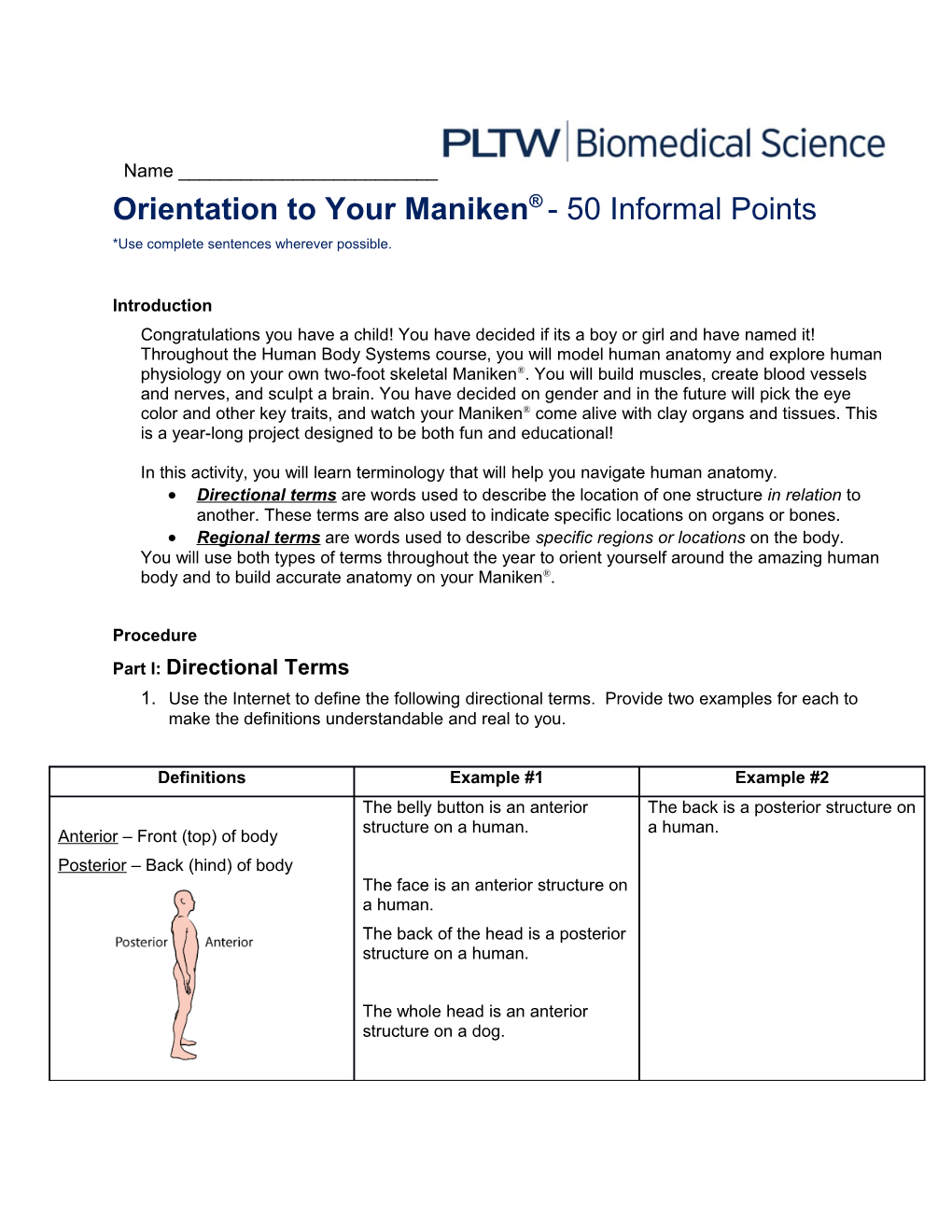 Orientation to Your Maniken - 50 Informal Points