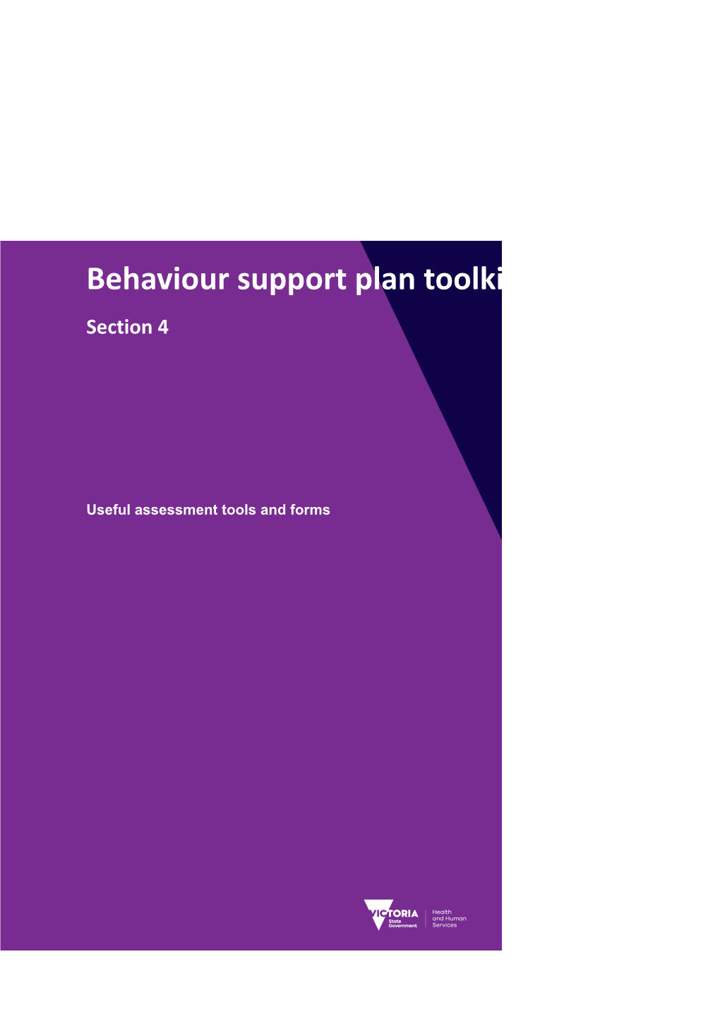 New Toolkit Section 4 - Behaviour Support Plan Useful Assessment Tools and Forms