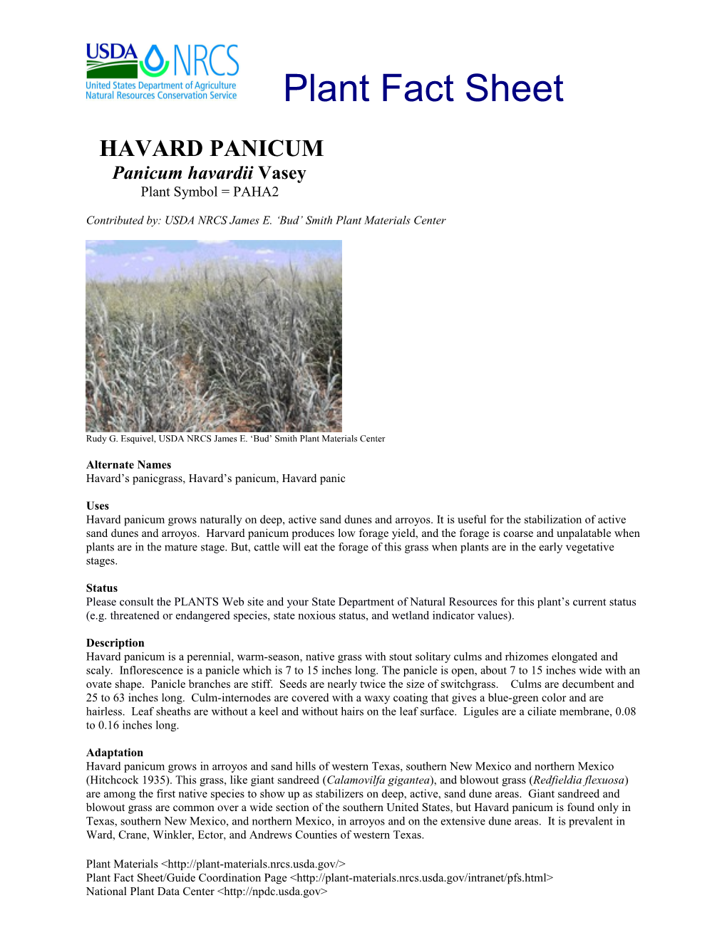 Havard Panicum Plant Fact Sheet