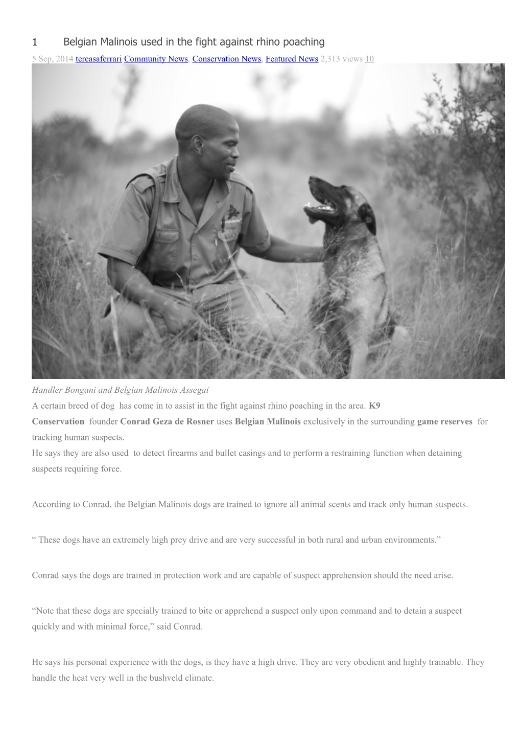 1Belgian Malinois Used in the Fight Against Rhino Poaching