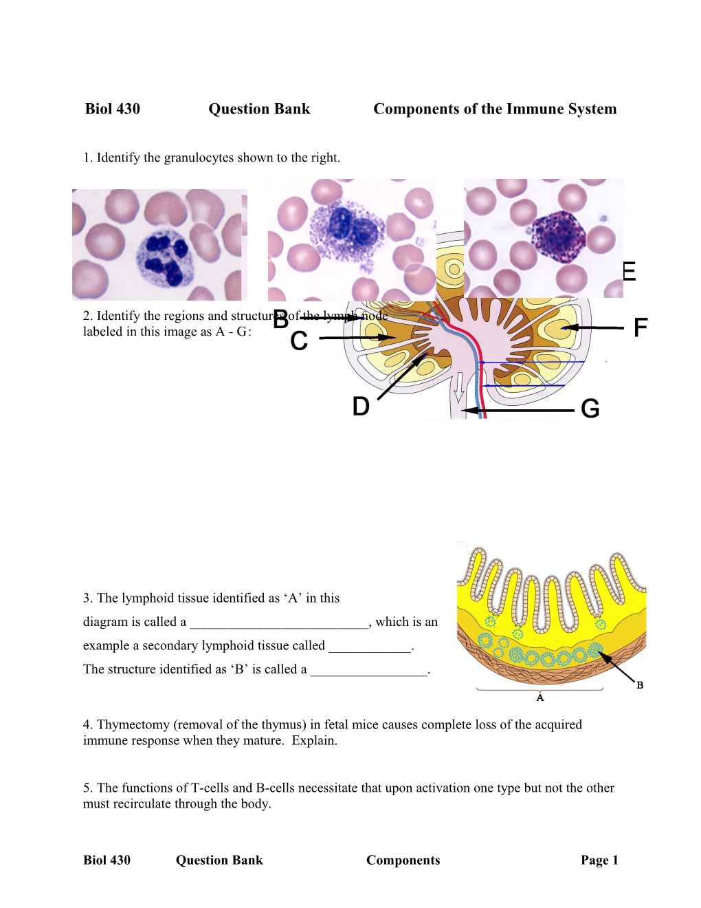 Biol 430Questionbank Components of the Immune System
