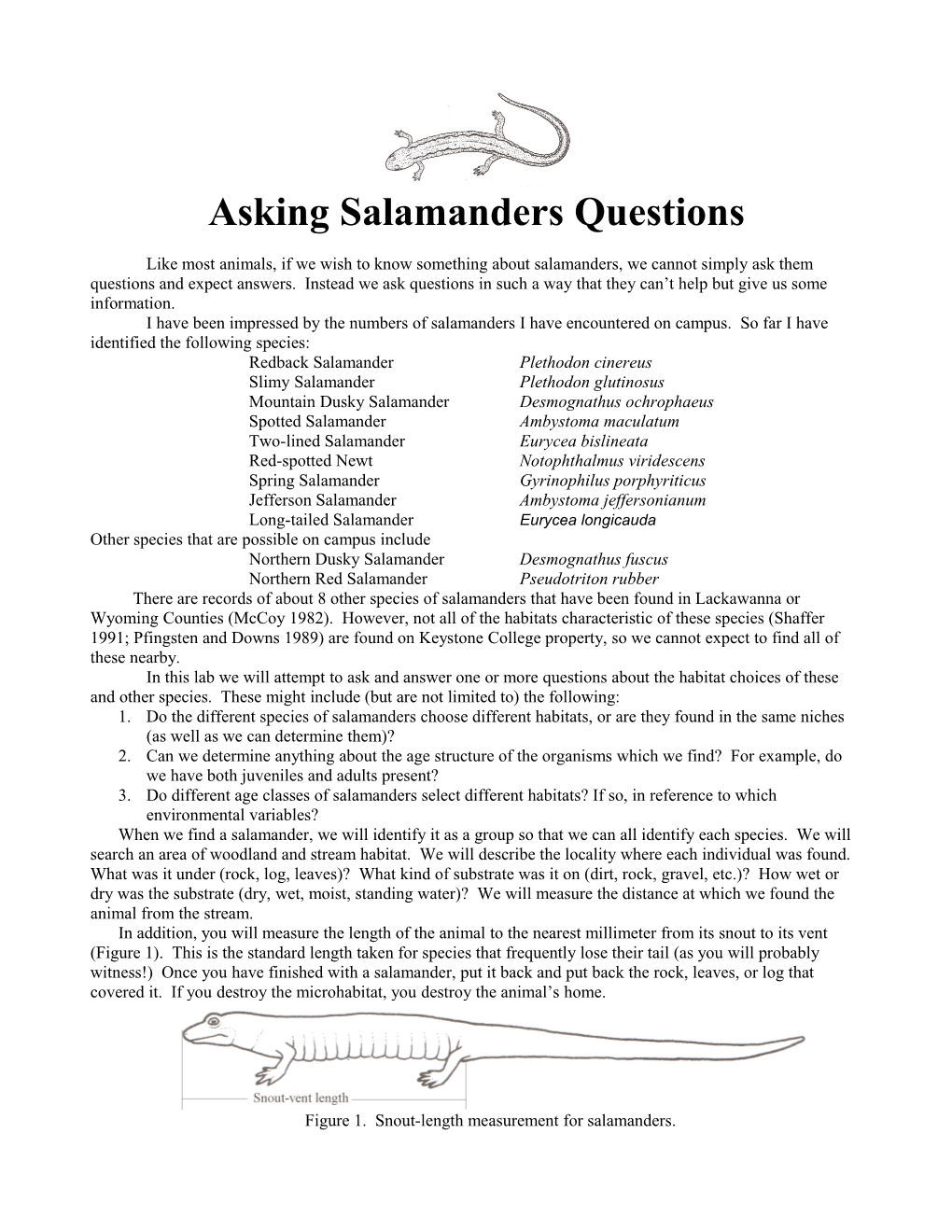 Asking Salamanders Questions