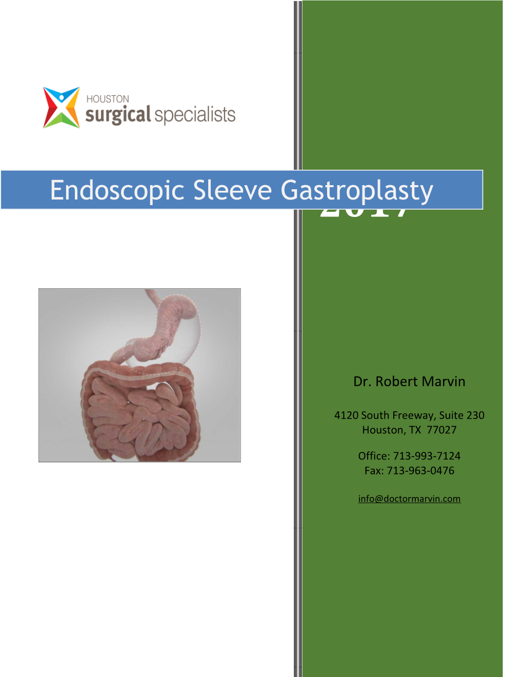 Laparoscopic Sleeve Gastrectomy