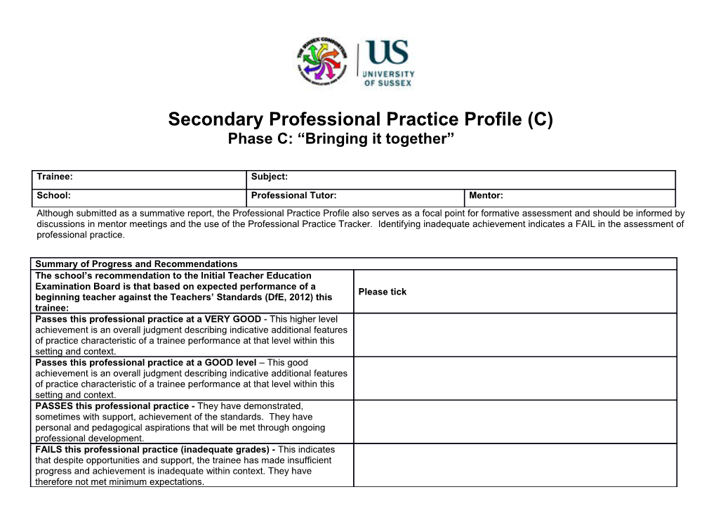 Secondary Professional Practice Profile (C)