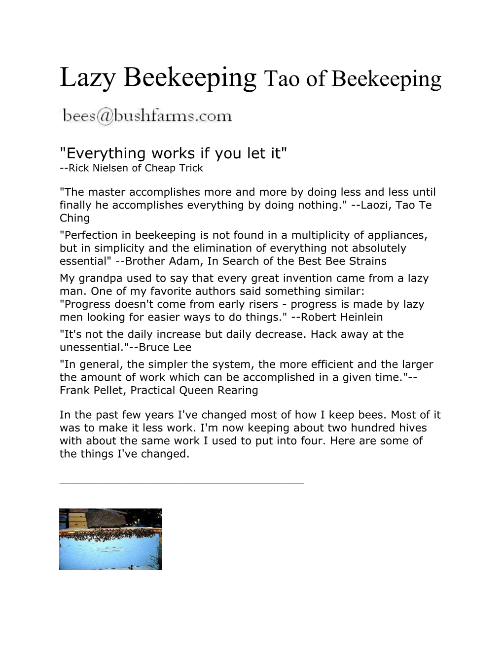 Lazy Beekeepingtao of Beekeeping