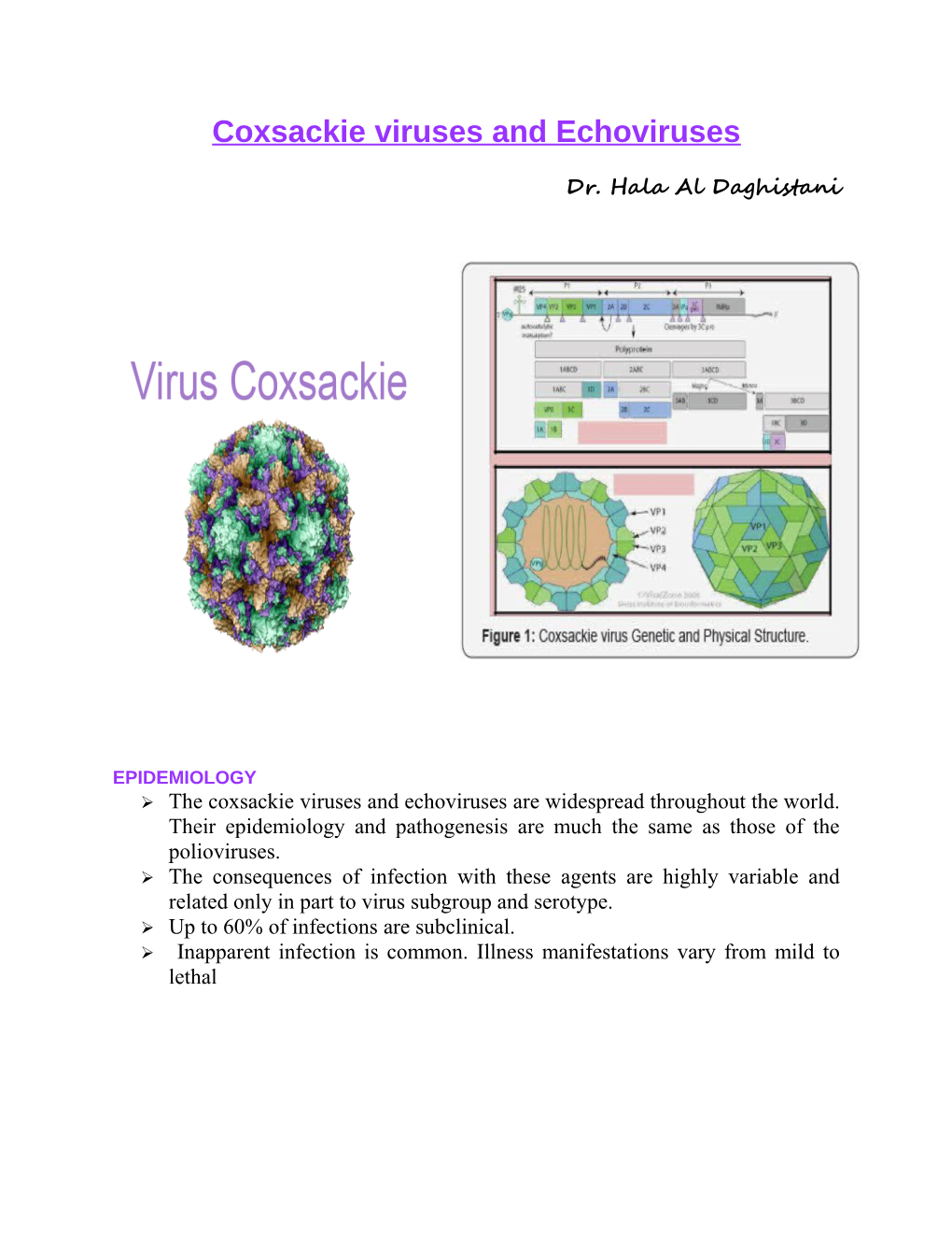 Coxsackie Viruses and Echoviruses