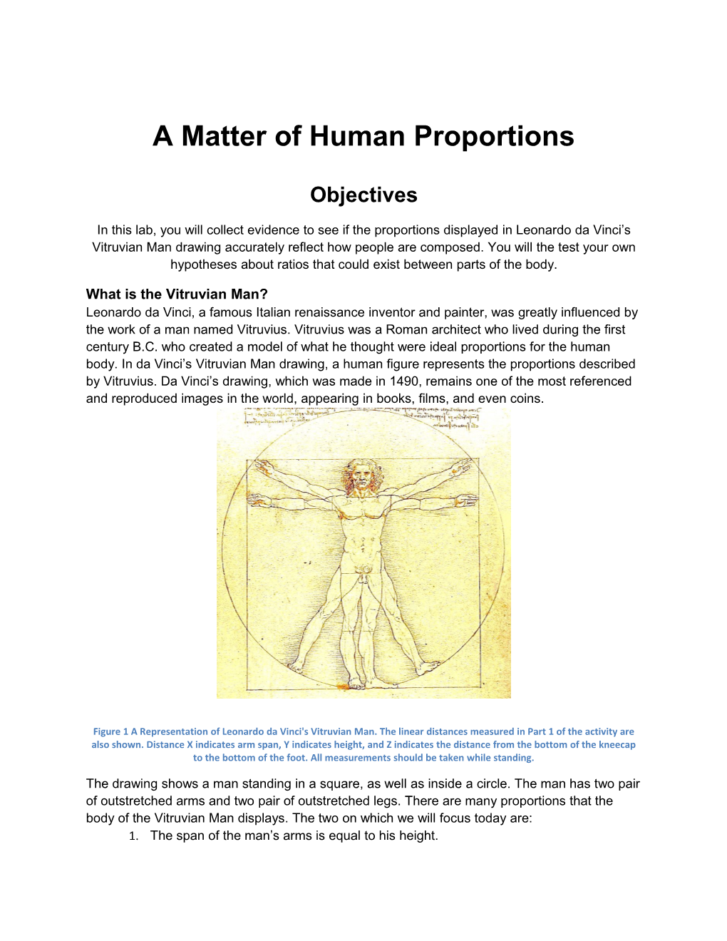 A Matter of Human Proportions