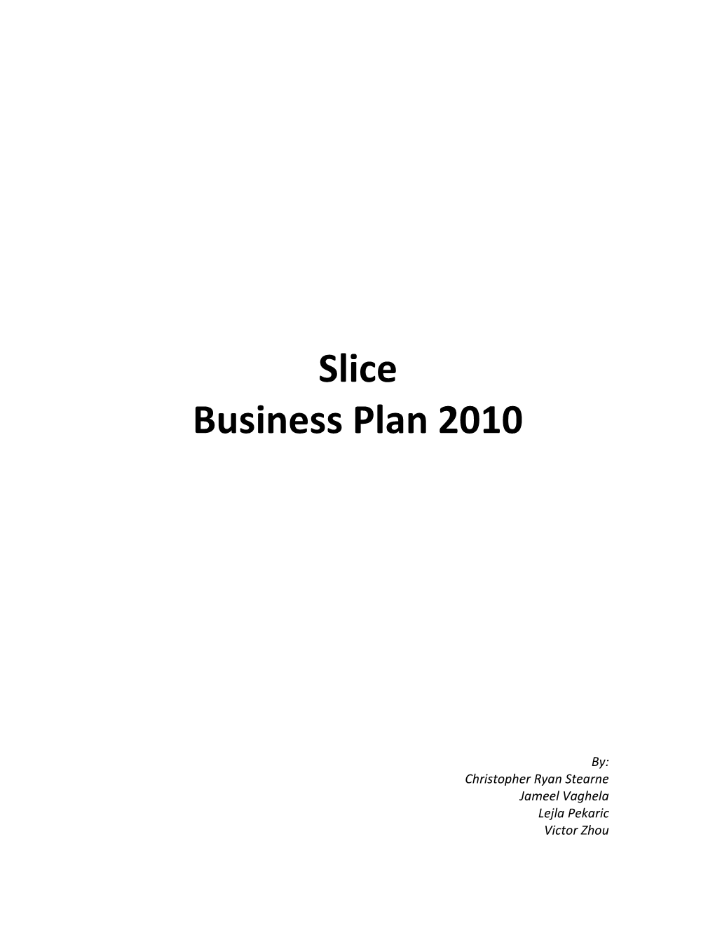 Business Plan 2010