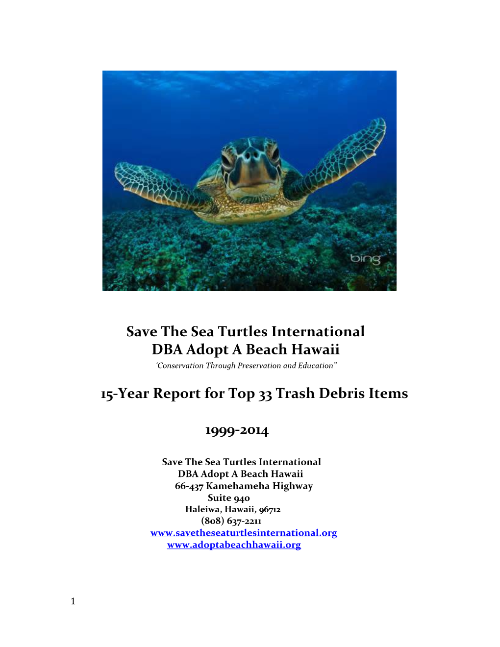 Save the Sea Turtles International