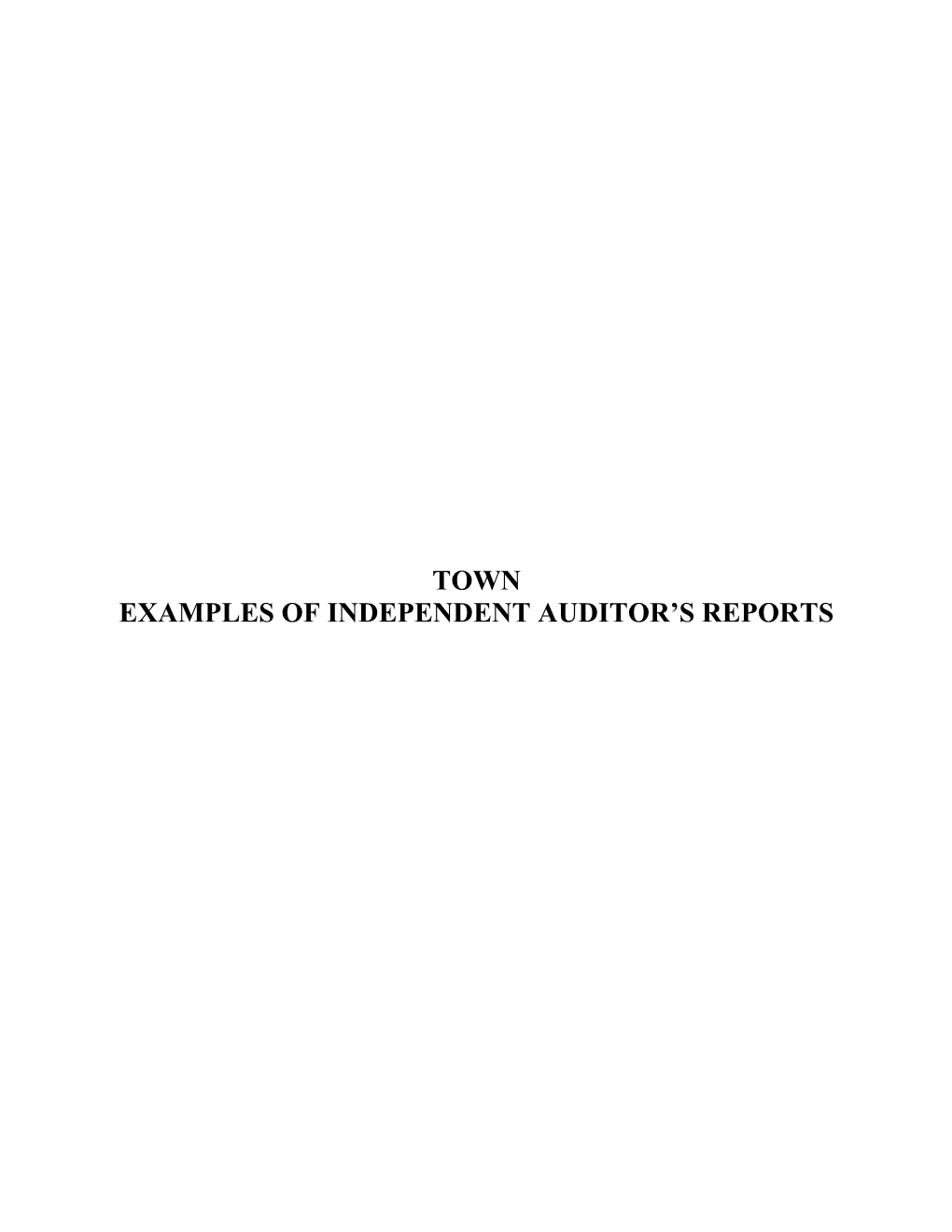 2009 Minnesota Legal Compliance Audit Guide for Local Governments Section 6