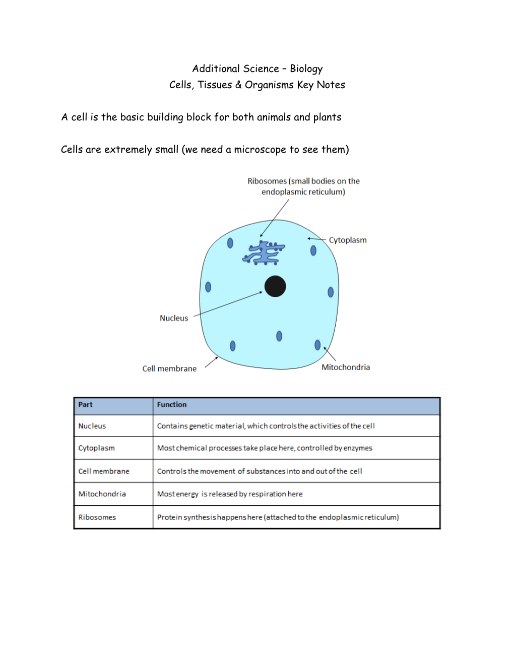 Cells, Tissues & Organisms Key Notes