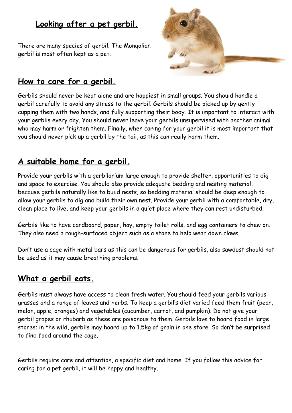 How to Care for a Gerbil