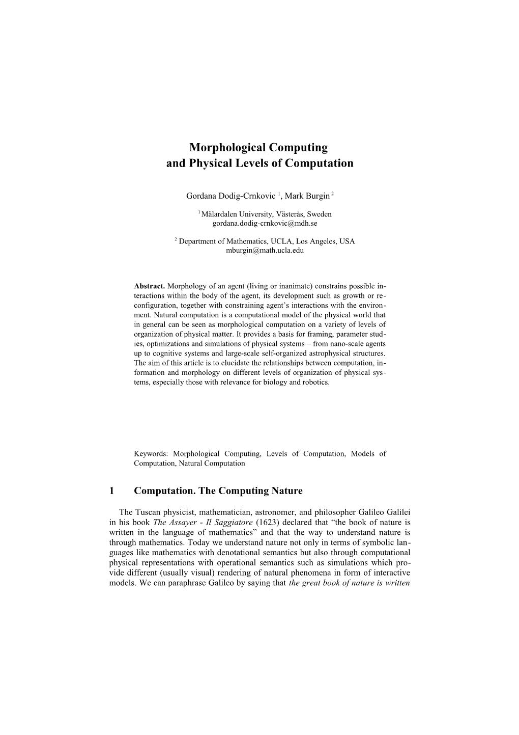 Morphological Computing and Physical Levels of Computation