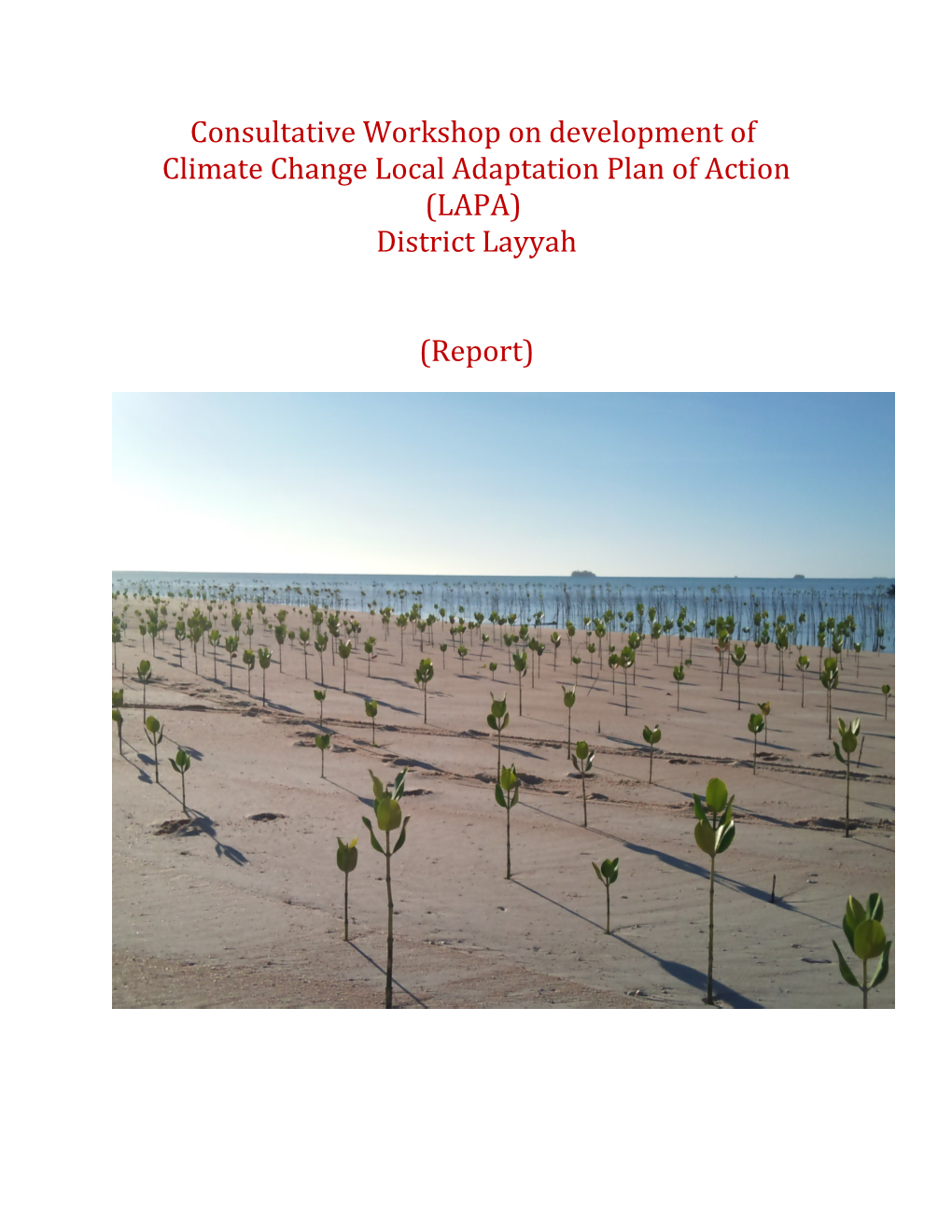 Climate Change Local Adaptation Plan of Action (LAPA)
