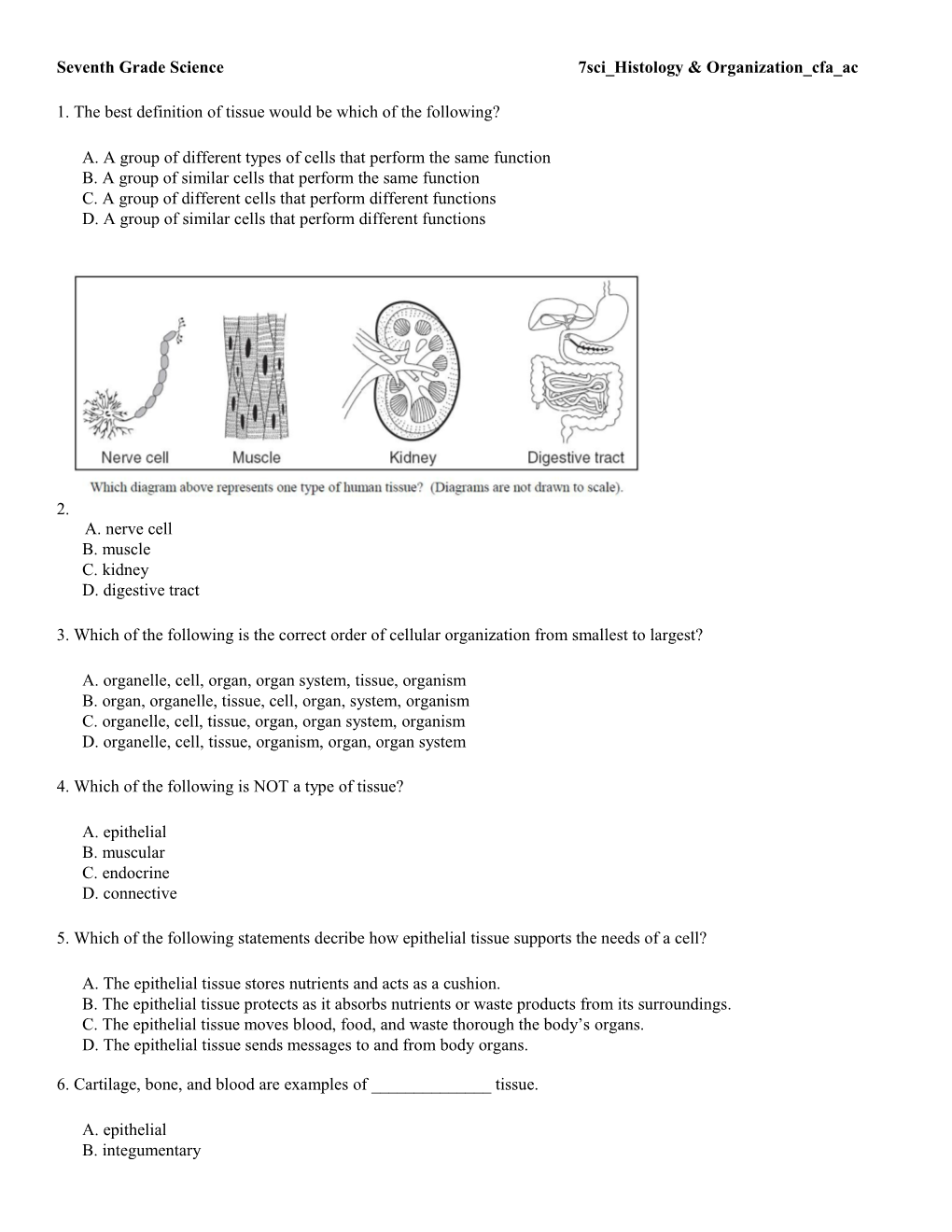 Seventh Grade Science 7Sci Histologyorganization Cfa Ac