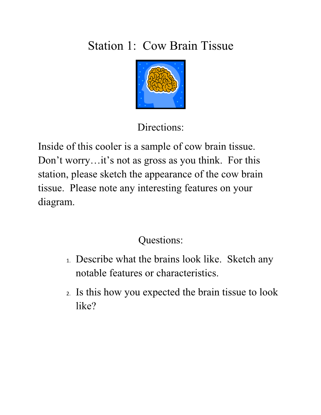 Station 1: Cow Brain Tissue