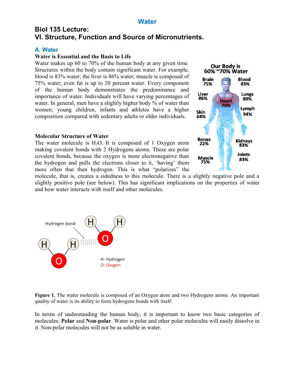 VI. Structure, Function and Source of Micronutrients