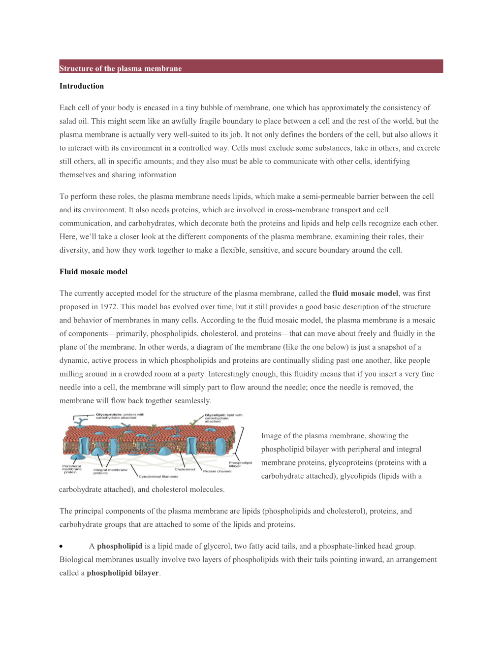 Structure of the Plasma Membrane