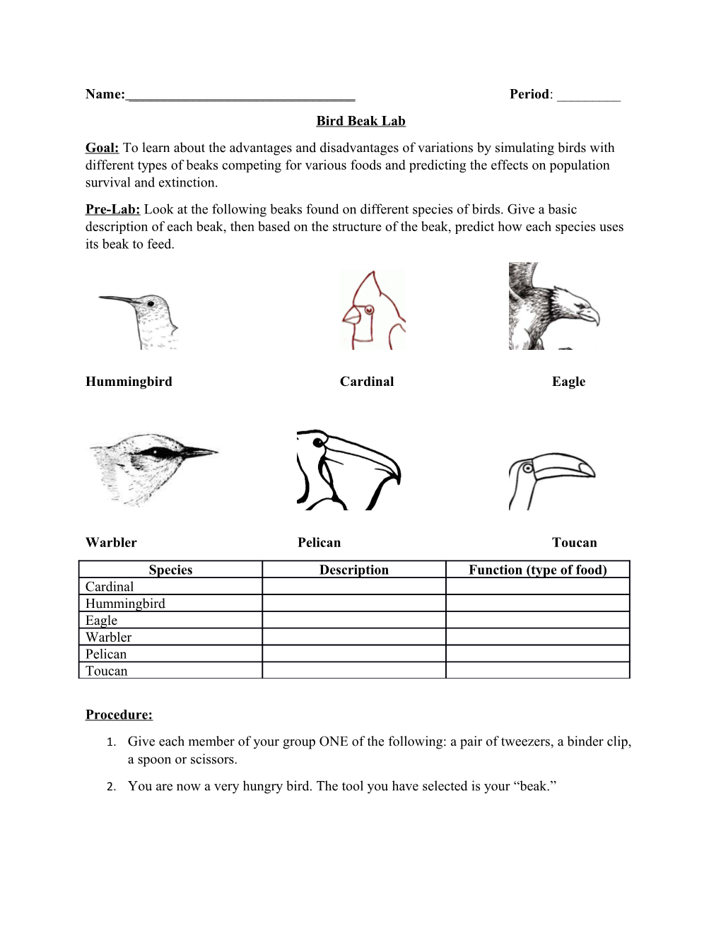 Goal: to Learn About the Advantages and Disadvantages of Variations by Simulating Birds