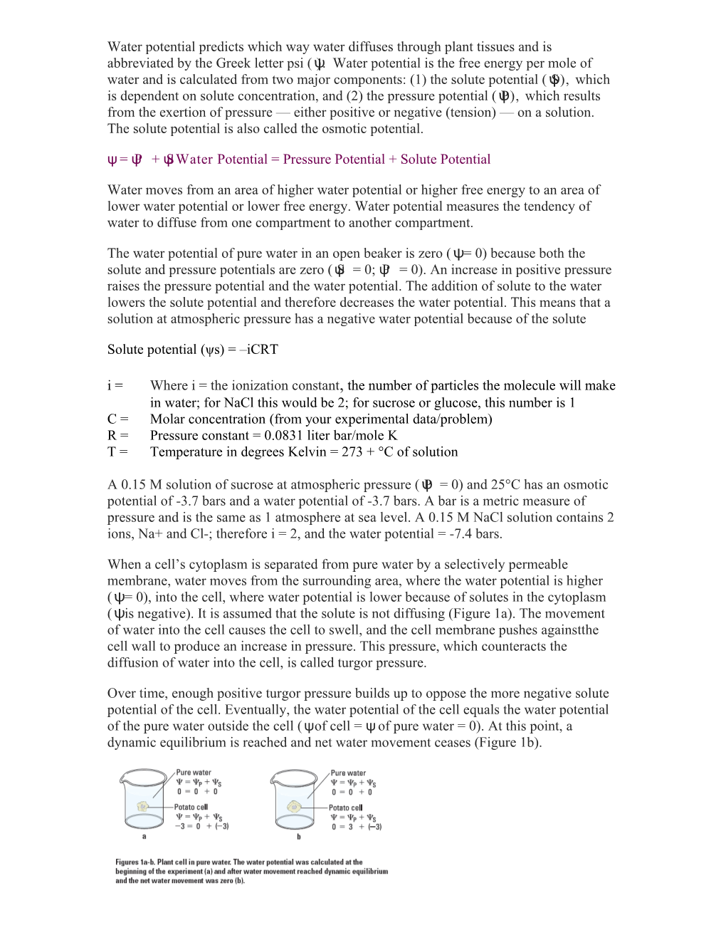 Ψ = Ψp + Ψs Water Potential = Pressure Potential + Solute Potential