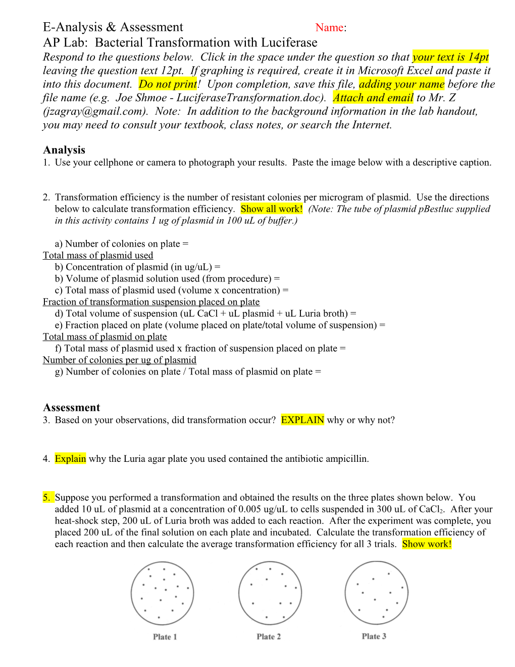 E-Assessment - AP Lab 2: Enzyme Catalysis