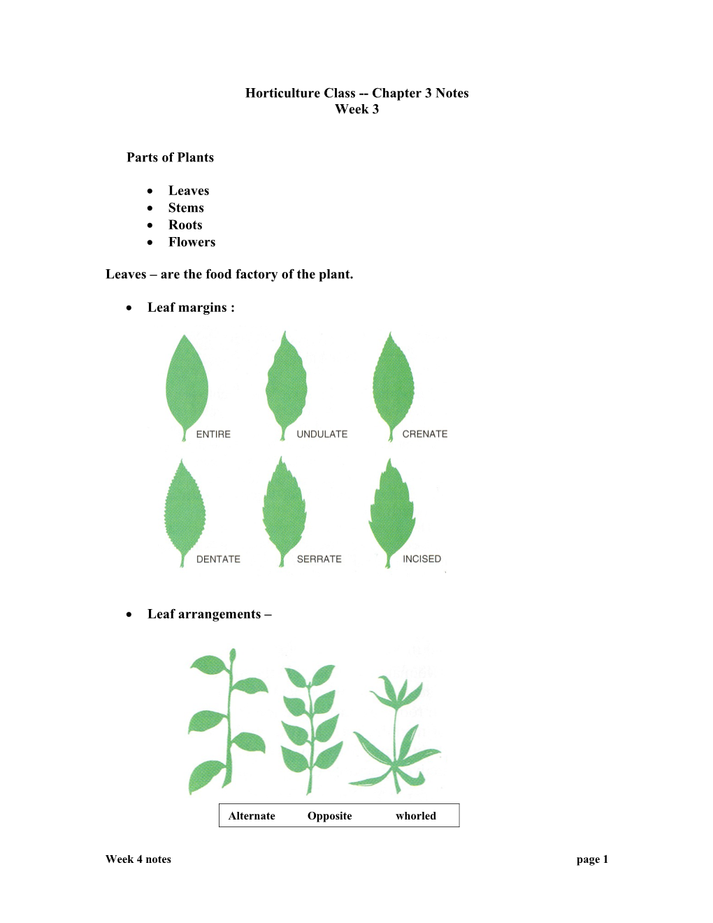 Horticulture Class Chapter 3 Notes