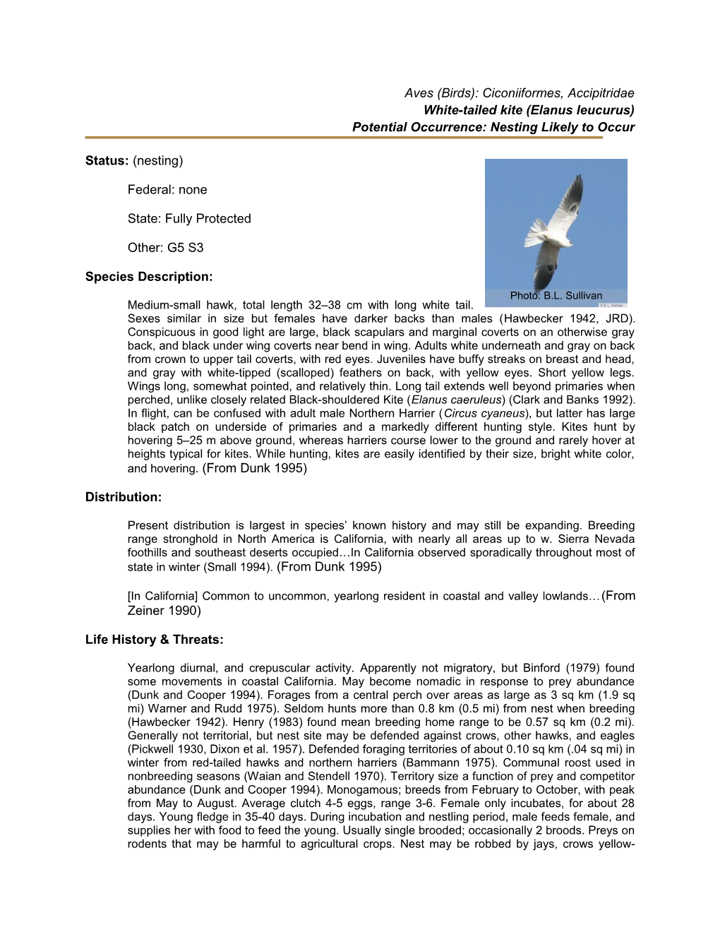 Aves (Birds): Ciconiiformes, Accipitridae