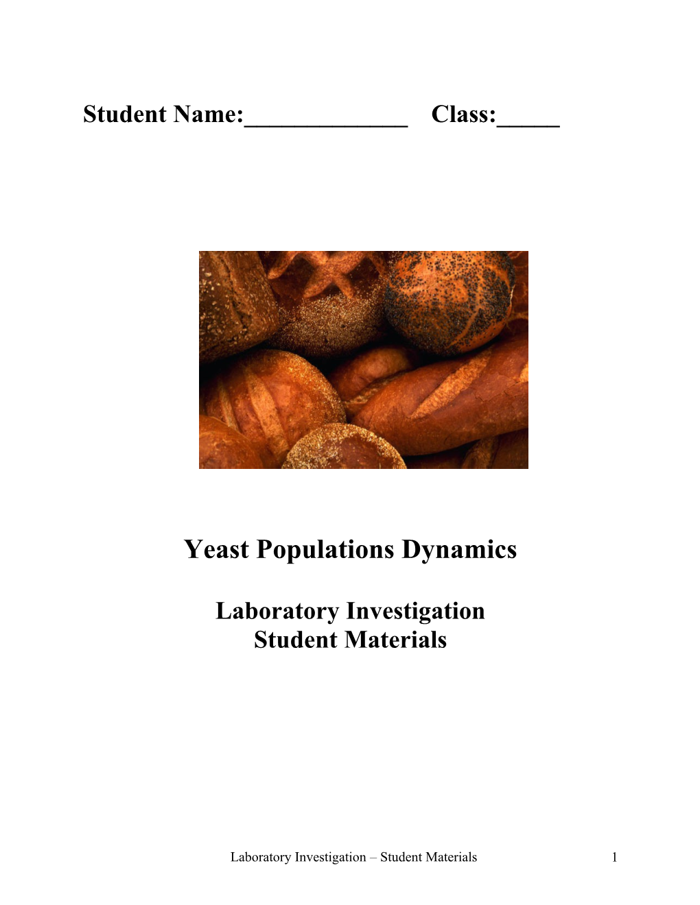 Strand 5 Yeast Population Dynamics Lab Student