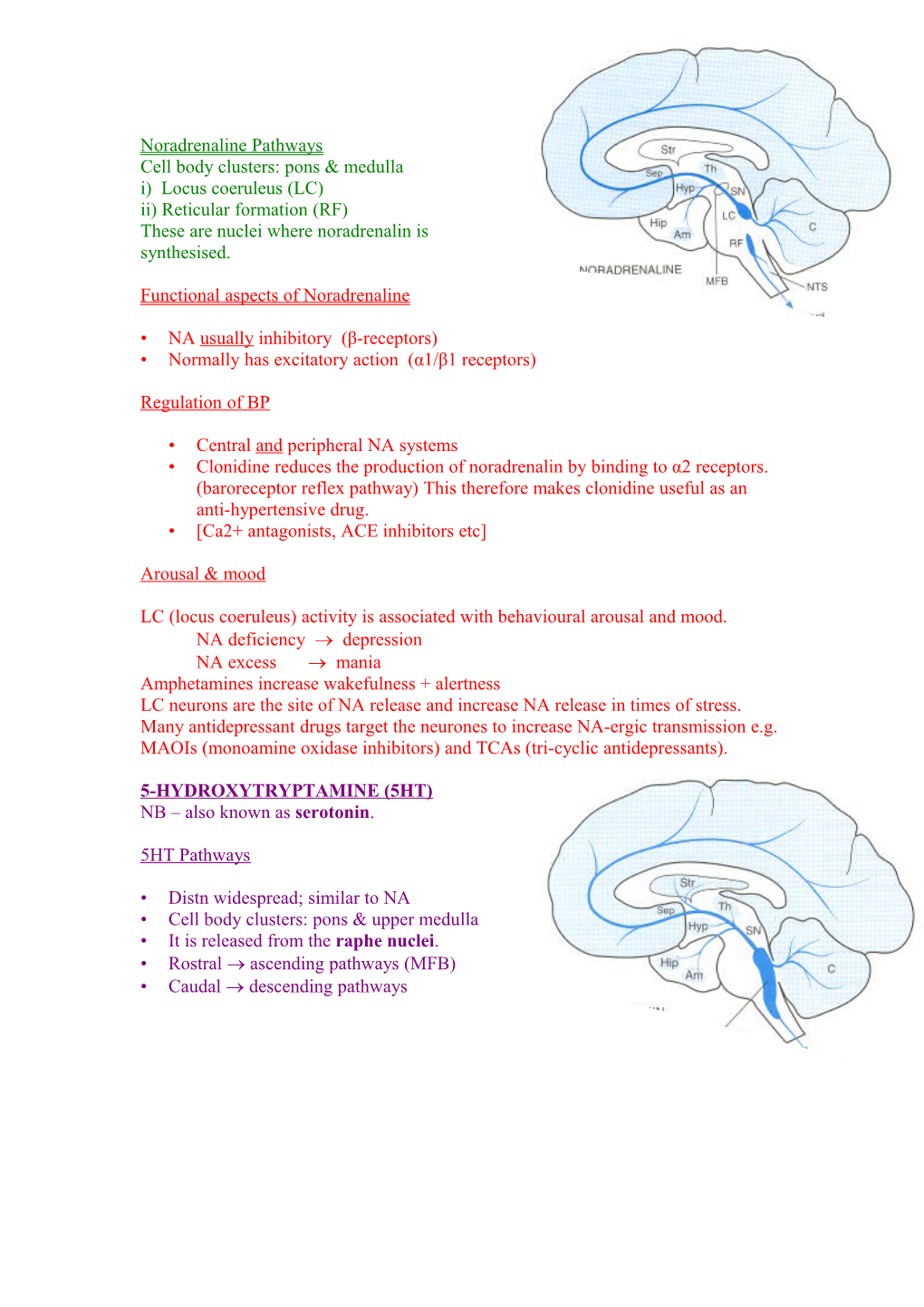 1. Outline the Course and Function of the 3 Diffuse Monoaminergic Pathways in the Brain
