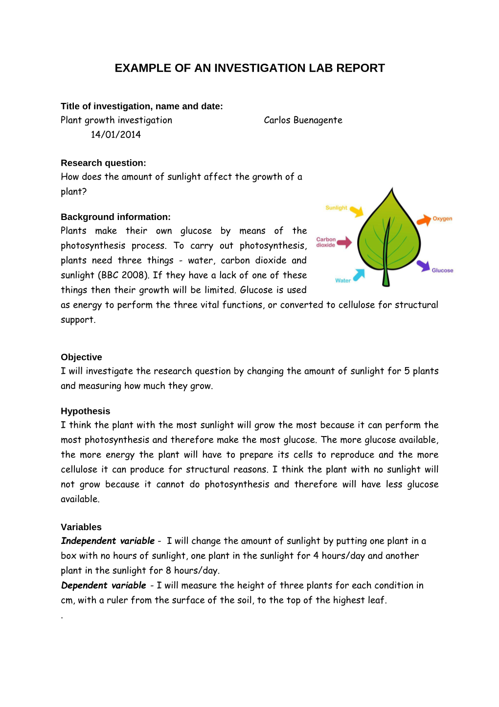 Example of an Investigation Lab Report