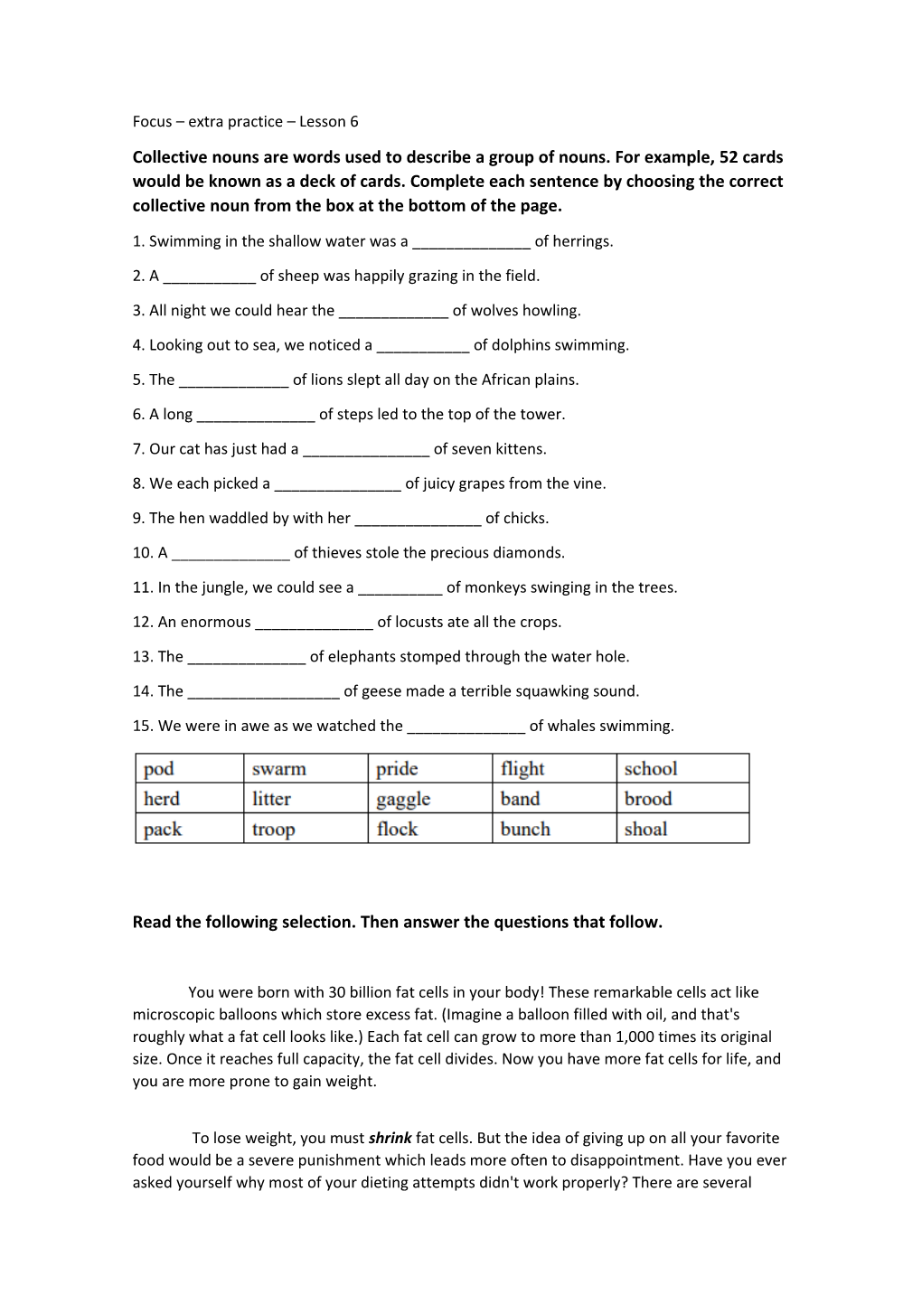 Focus Extra Practice Lesson 6