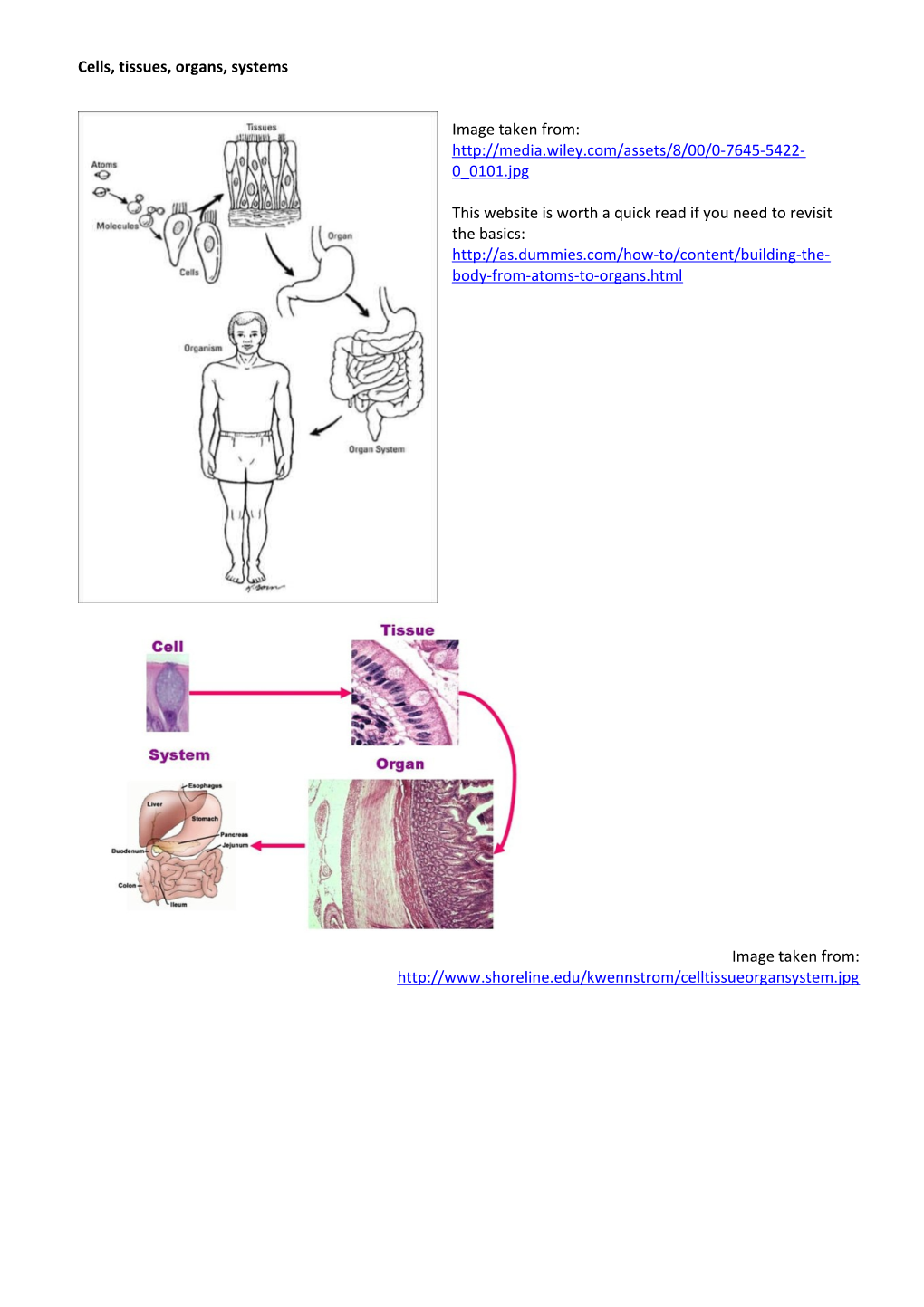 Cells, Tissues, Organs, Systems