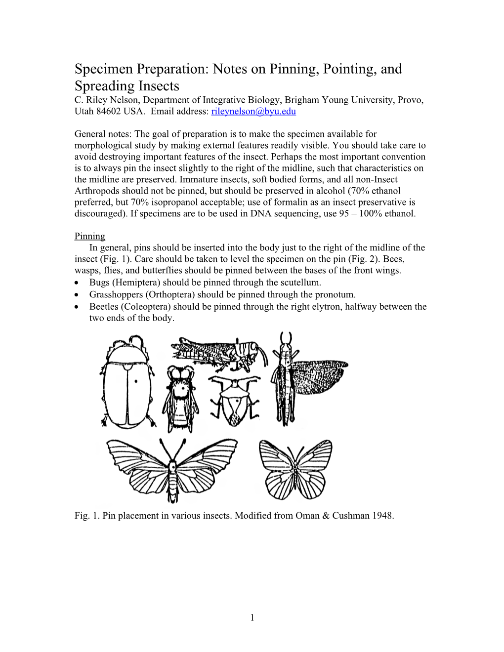 Specimen Preparation: Notes on Pinning, Pointing, and Spreading Insects