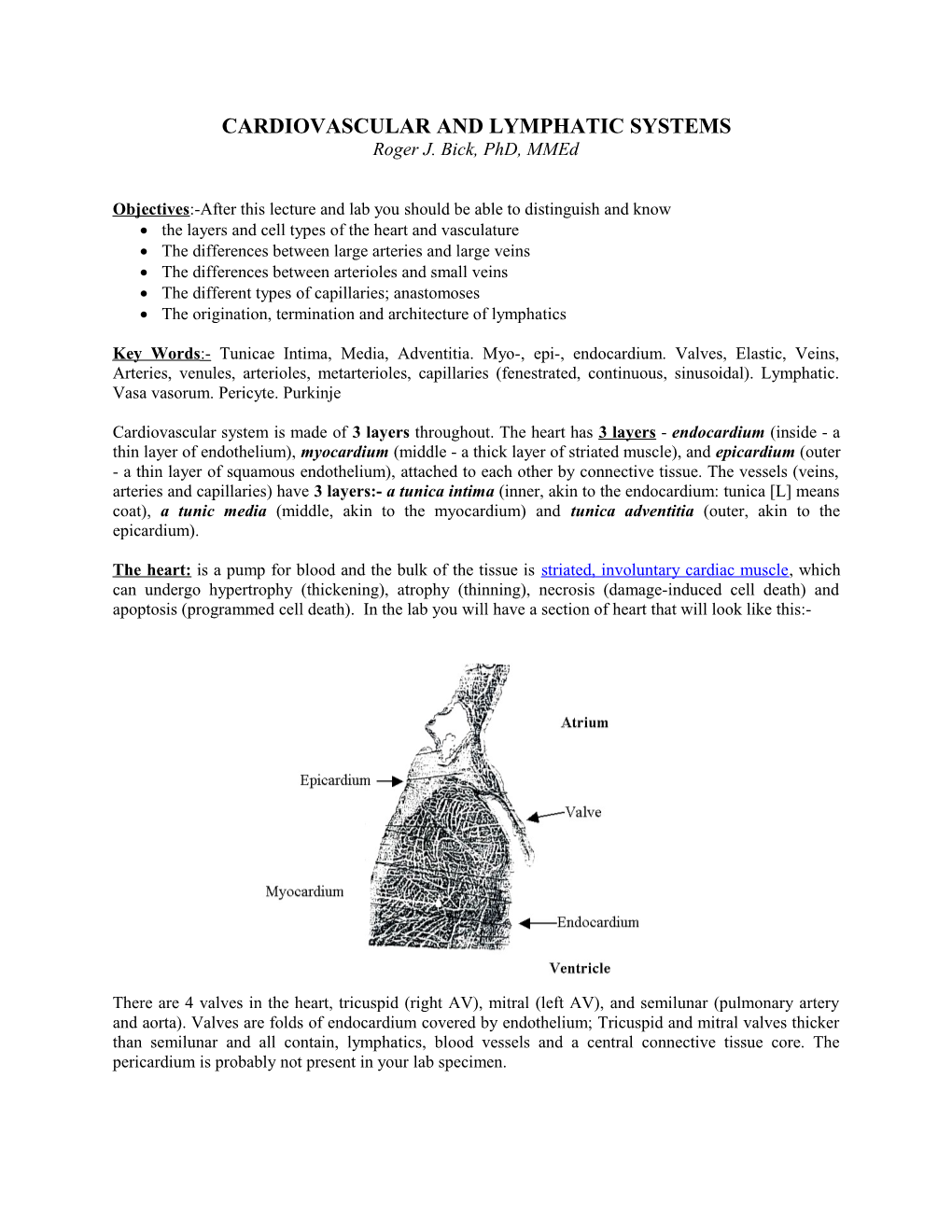 Cardiovascular and Lymphatic Systems