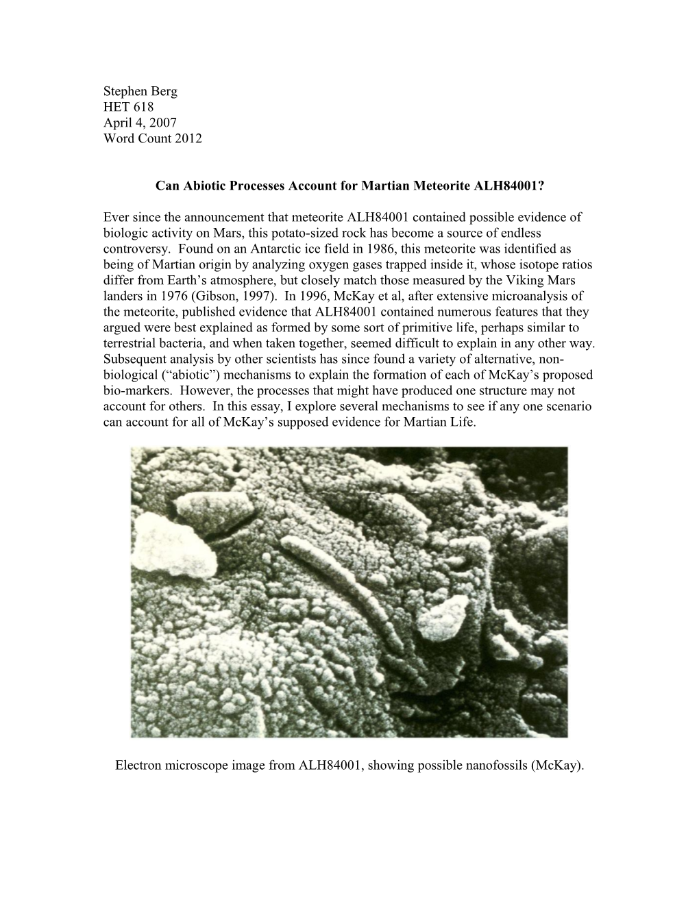 Can Abiotic Processes Account for Martian Meteorite ALH84001?