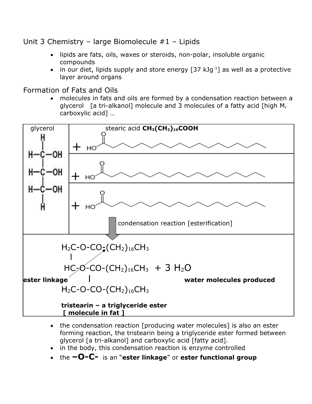 Unit 3 Chemistry Large Biomolecule #1 Lipids