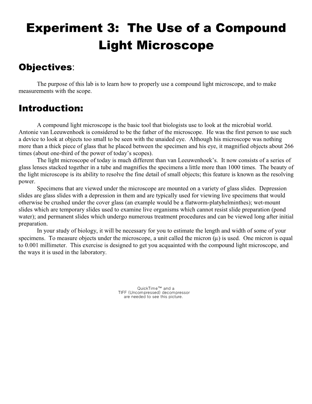 Experiment 3: the Use of a Compound Light Microscope