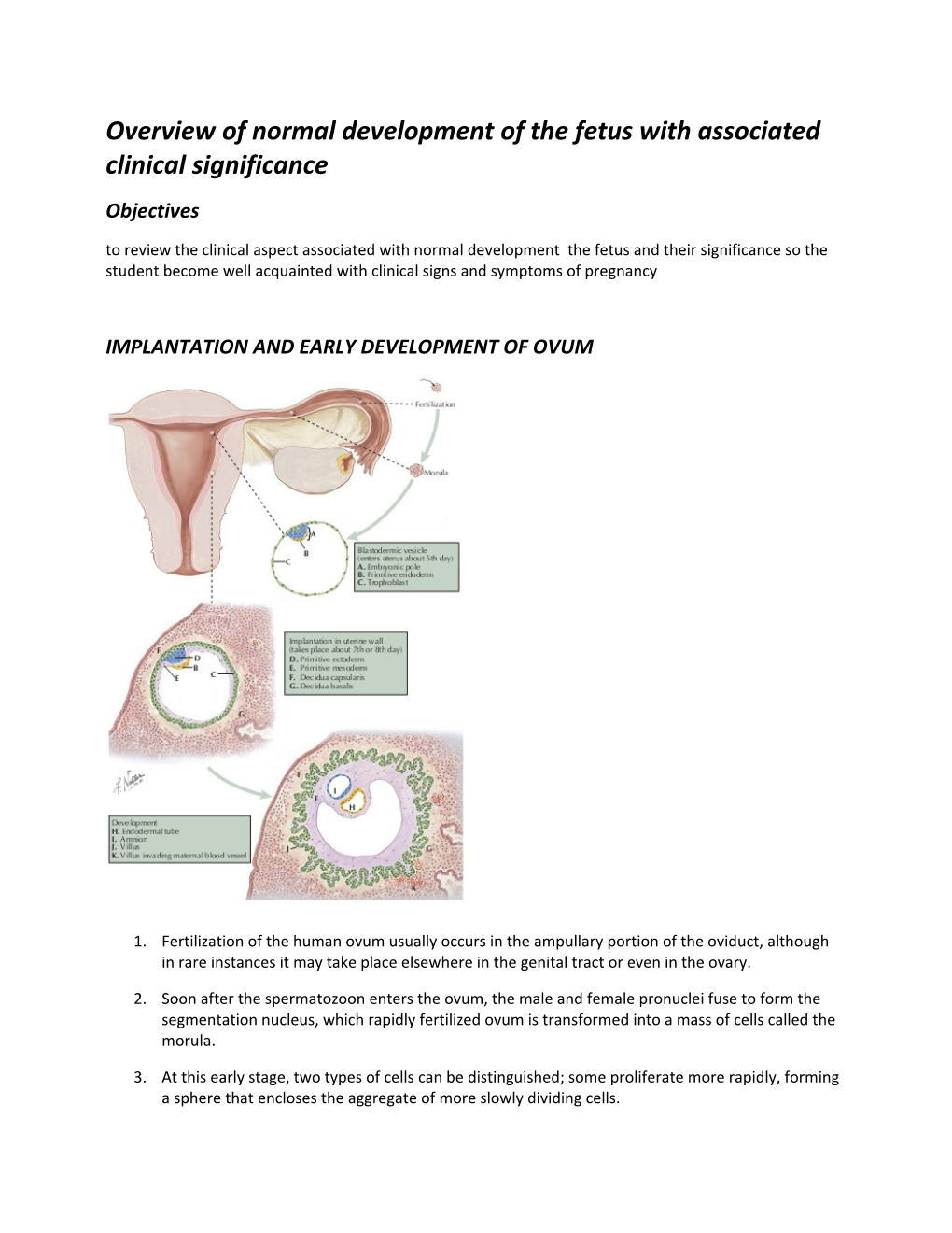 Overview of Normal Development of the Fetus with Associated Clinical Significance