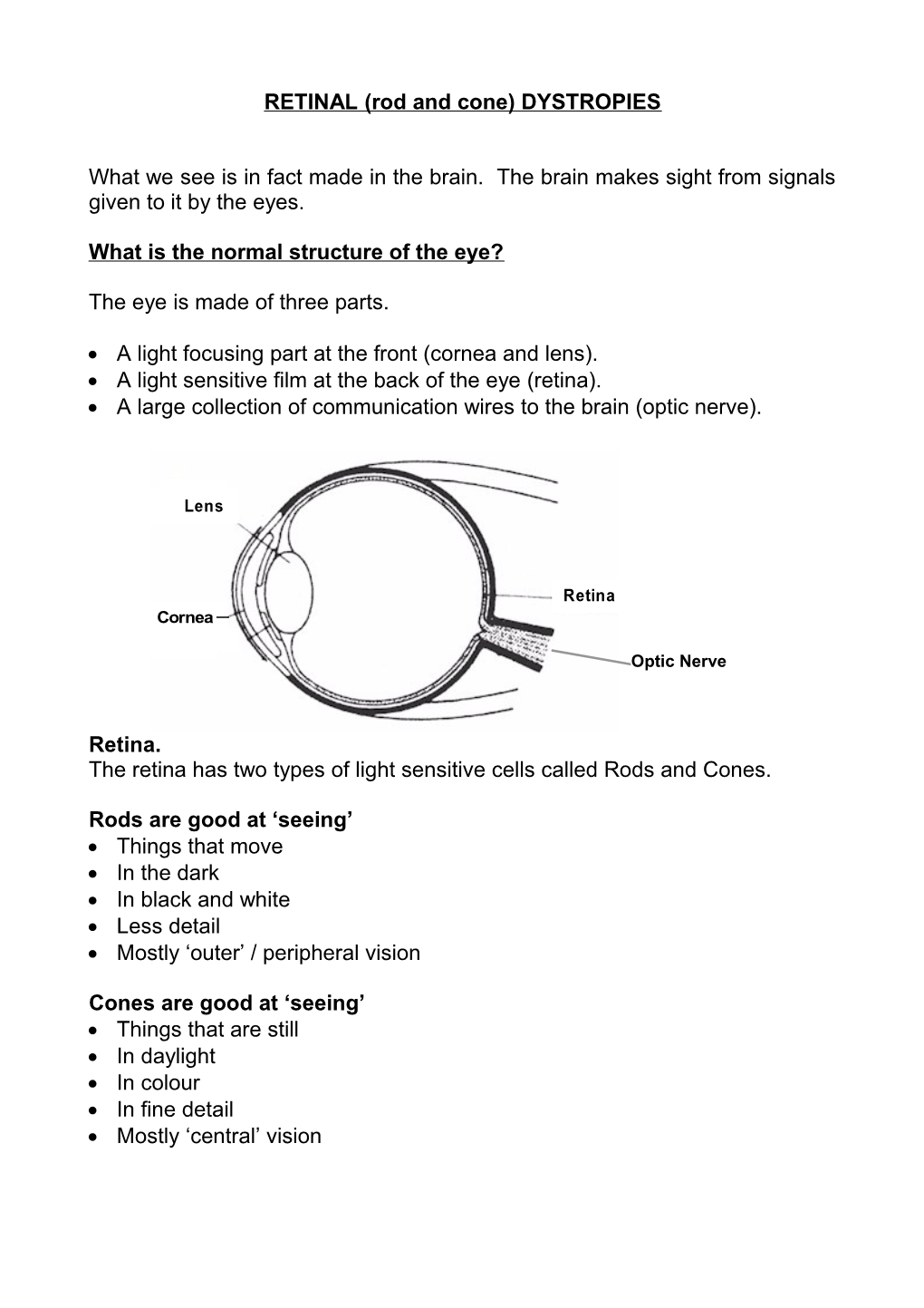 What We See Is Made in the Brain from Signals Given to It by the Eyes s1