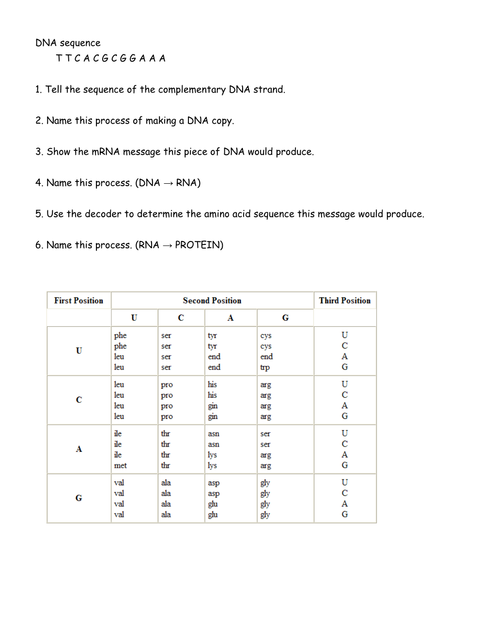 2. Name This Process of Making a DNA Copy