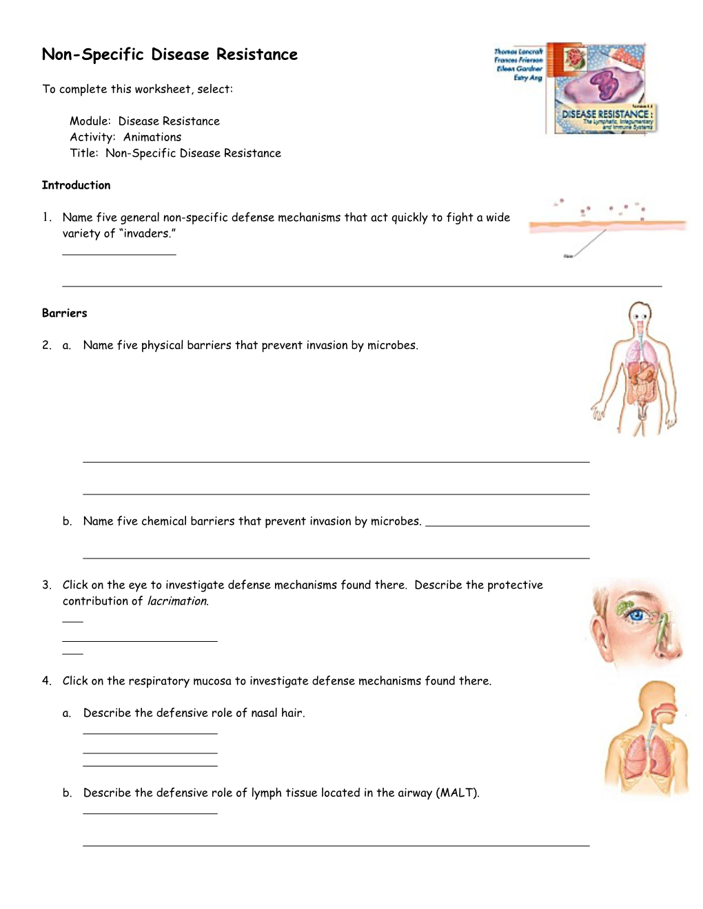 Endocrine System: Overview s2
