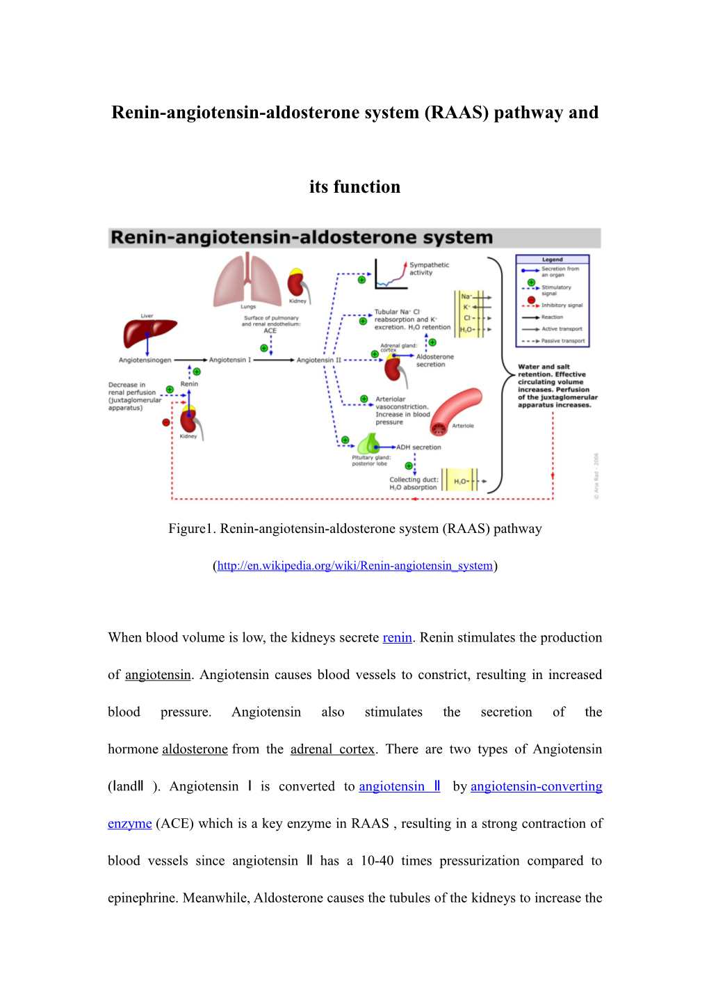 Renin-Angiotensin-Aldosterone System (RAAS) Pathway and Its Function