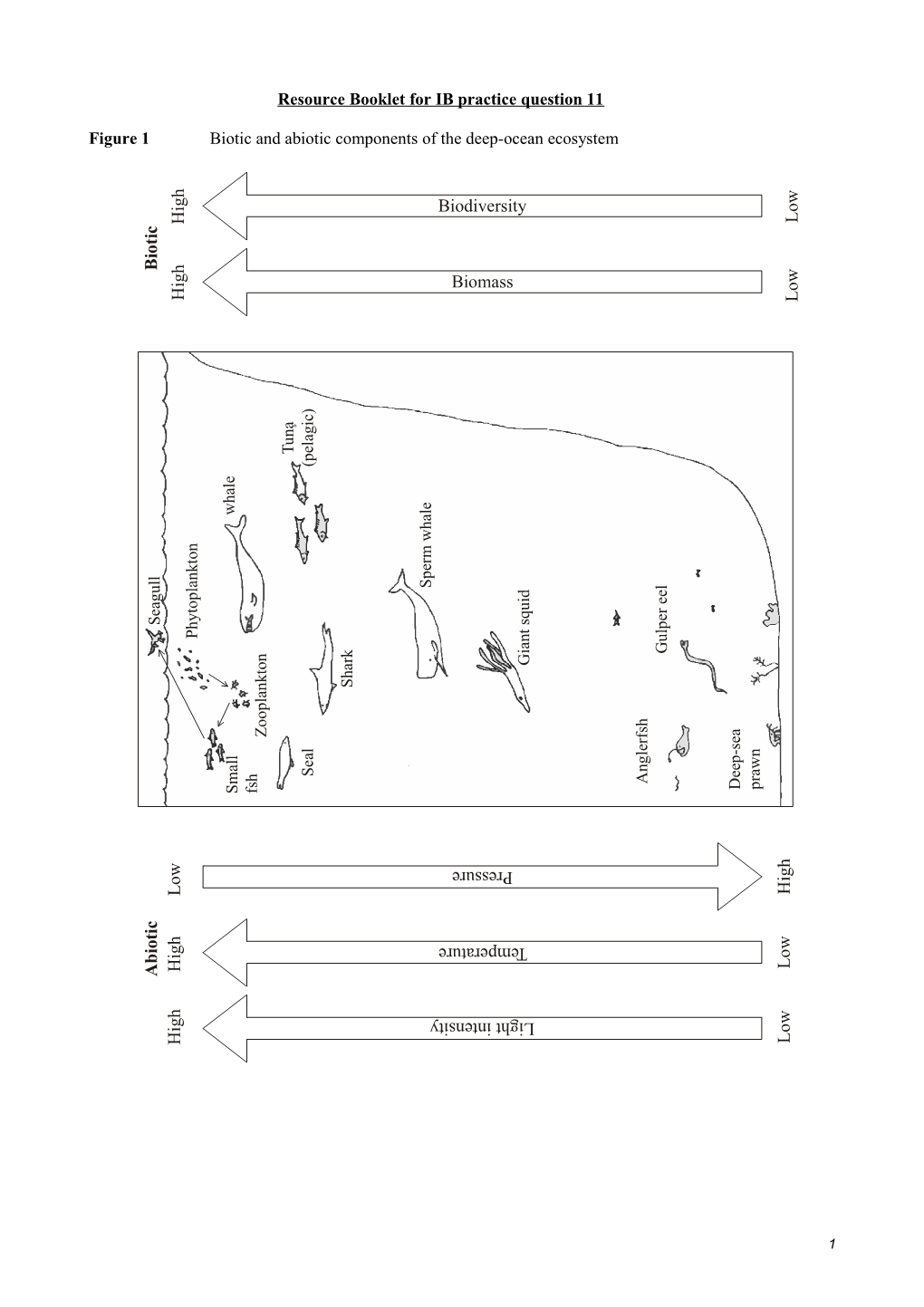 Resource Booklet for IB Practice Question 11