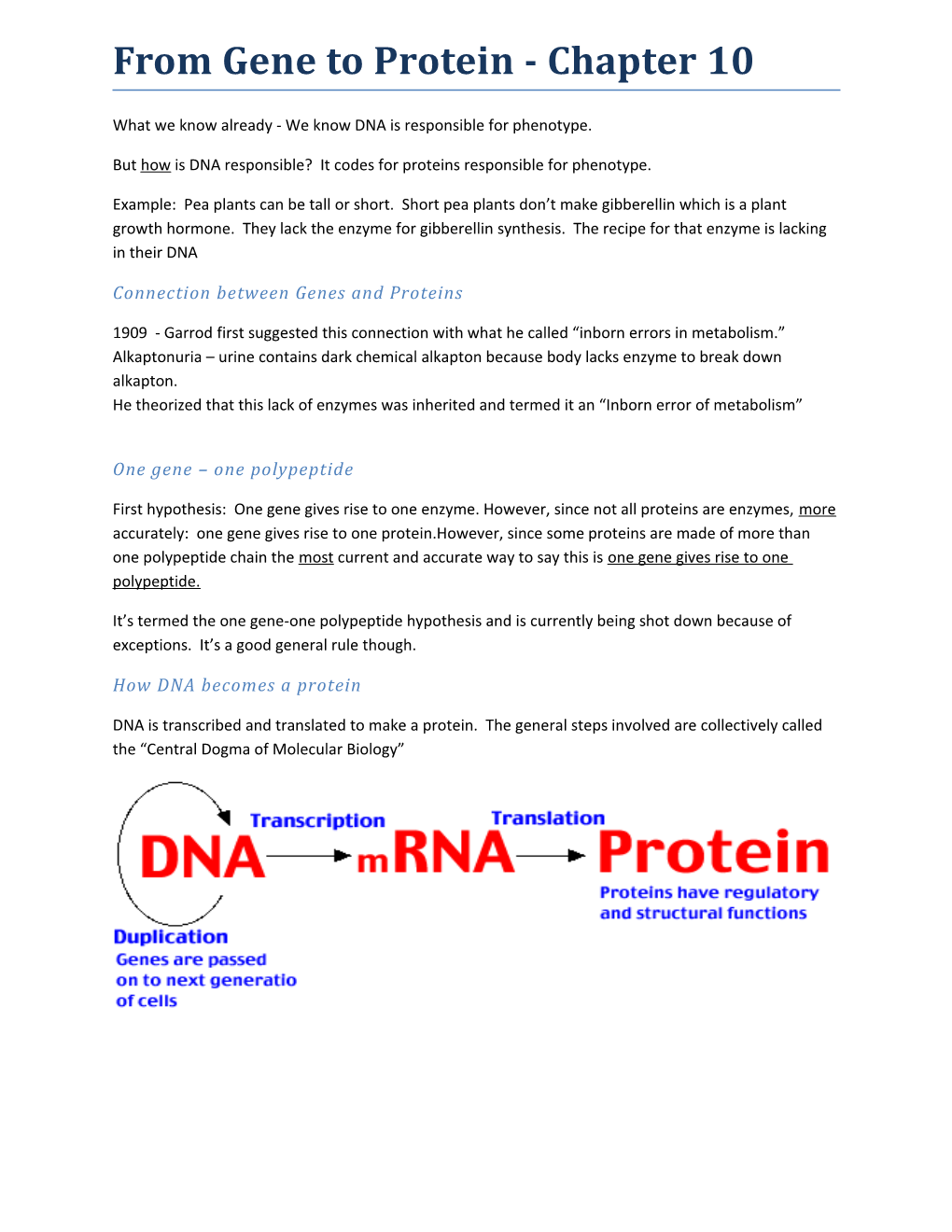 From Gene to Protein - Chapter 10