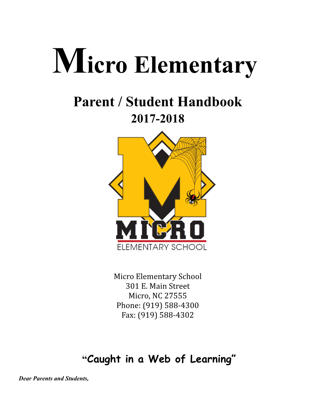 Micro Elementary